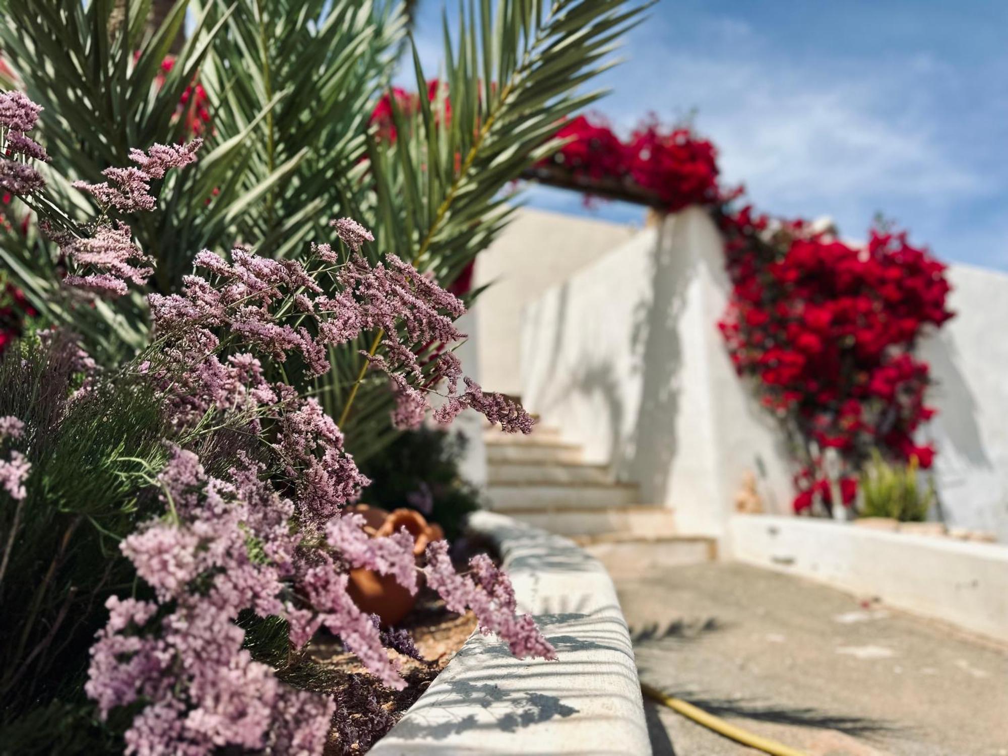 Ocha - Calblanque Holiday home *