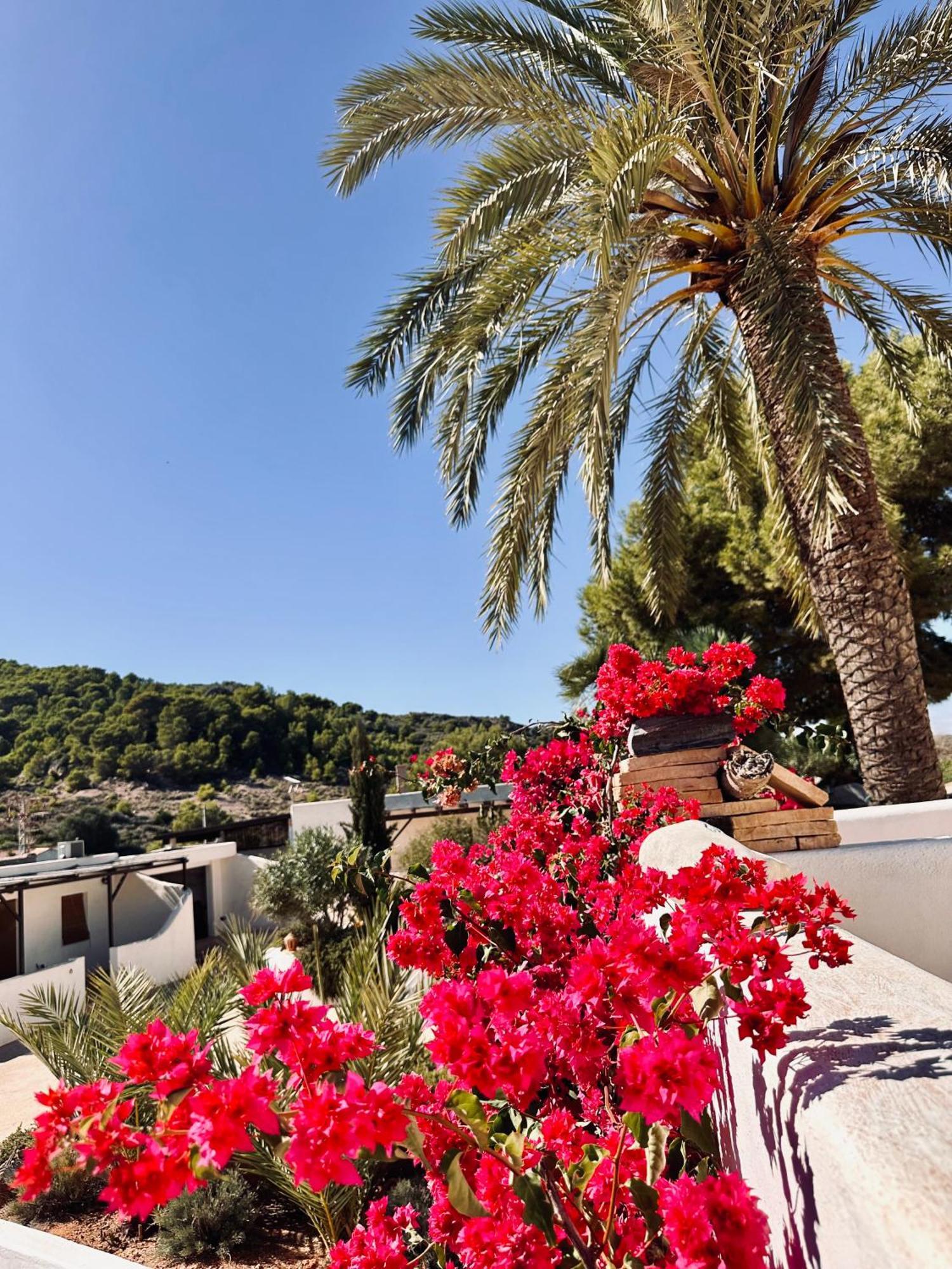 Holiday home Ocha - Calblanque