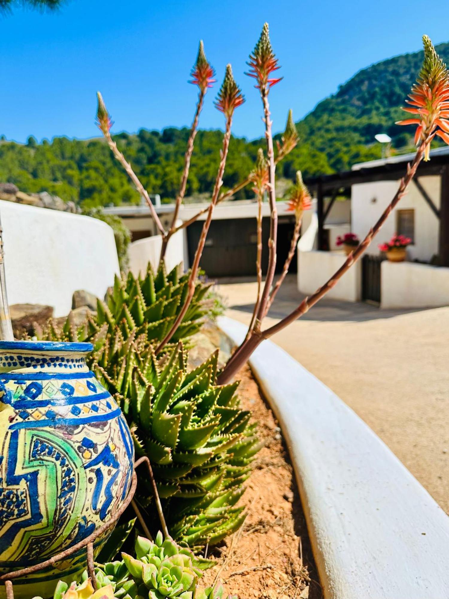 Ocha - Calblanque Holiday home