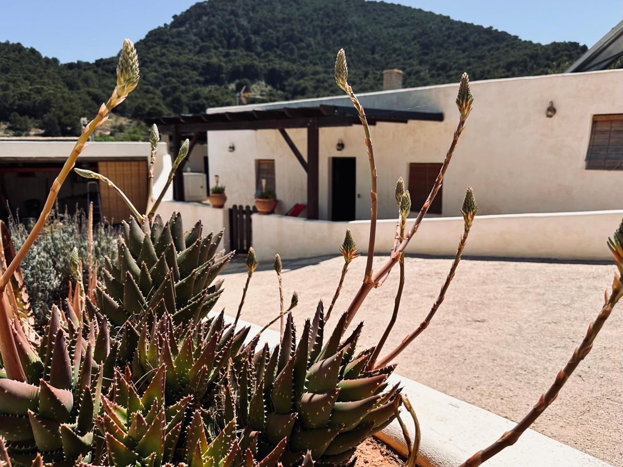 Holiday home Ocha - Calblanque