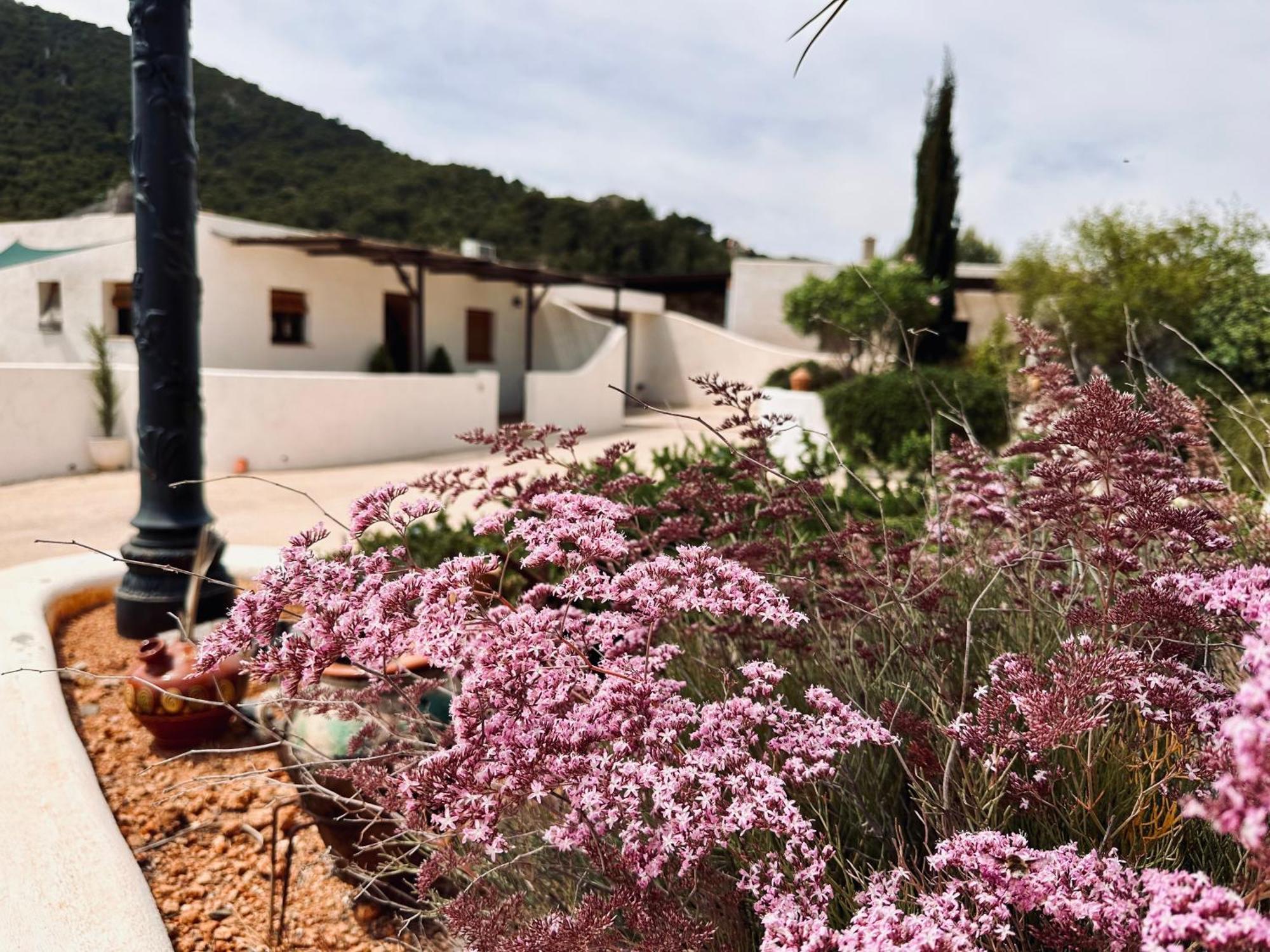 Ocha - Calblanque Holiday home *
