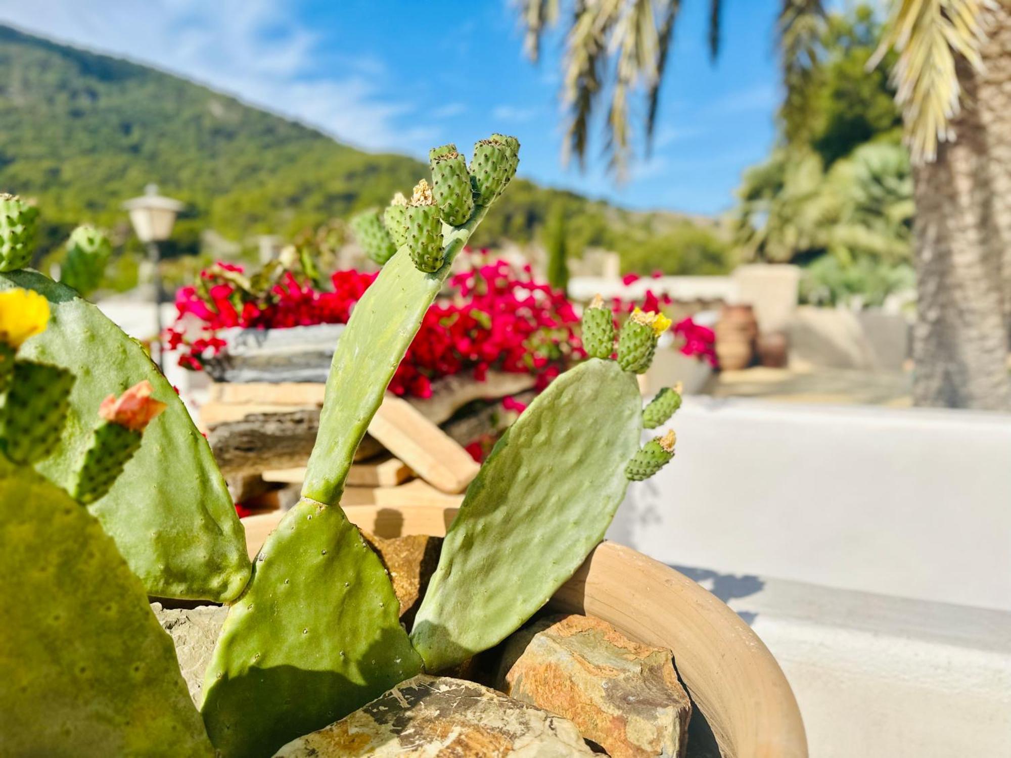 Casa de vacances Ocha - Calblanque
